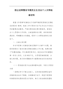 国企巡察整改专题民主生活会个人对照检查材料