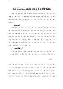 国有企业2024年组织生活会会后综合情况报告+在2024年度领导班子民主生活会的点评讲话