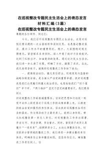 在巡视整改专题民主生活会上的表态发言材料汇编（3篇）
