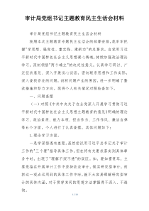 审计局党组书记主题教育民主生活会材料