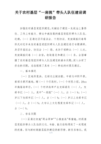 关于农村基层“一肩挑”带头人队伍建设调研报告