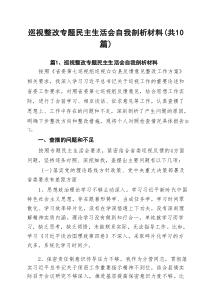 巡视整改专题民主生活会自我剖析材料10篇（最新版）