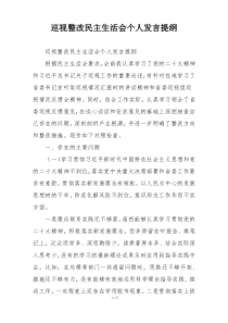 巡视整改民主生活会个人发言提纲