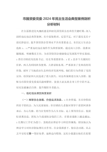 市国资委党委2024年民主生活会典型案例剖析分析材料