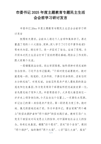 市委书记2025年度主题教育专题民主生活会会前学习研讨发言