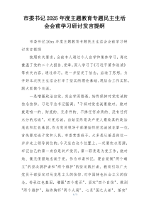 市委书记2025年度主题教育专题民主生活会会前学习研讨发言提纲