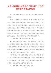 关于对巡视整改情况进行“回头看”工作开展自查自纠情况的报告