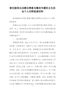新任副局长巡察反馈意见整改专题民主生活会个人对照检查材料