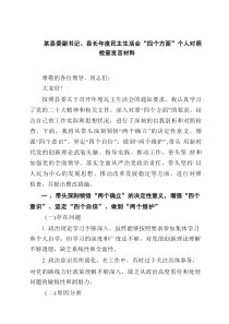 某县委副书记、县长2025年度民主生活会“四个方面”个人对照检查发言材料（材料5篇）