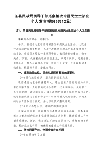 某县民政局领导干部巡察整改专题民主生活会个人发言提纲（共12篇）