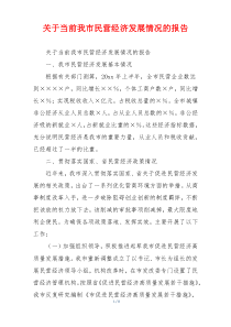 关于当前我市民营经济发展情况的报告