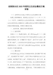 法院院长在2025年度民主生活会整改方案详情