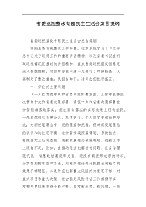 省委巡视整改专题民主生活会发言提纲