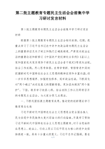 第二批主题教育专题民主生活会会前集中学习研讨发言材料
