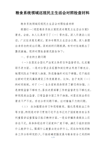 粮食系统领域巡视民主生活会对照检查材料