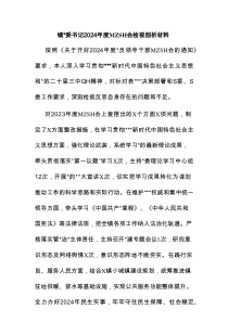 镇党委书记2024年度民主生活会检视剖析材料