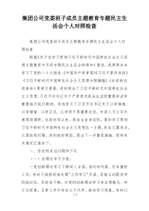 集团公司党委班子成员主题教育专题民主生活会个人对照检查
