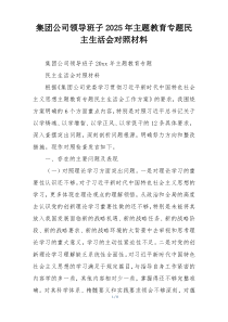 集团公司领导班子2025年主题教育专题民主生活会对照材料