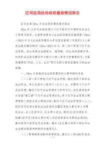 区司法局法治政府建设情况报告
