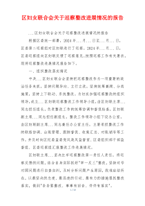 区妇女联合会关于巡察整改进展情况的报告