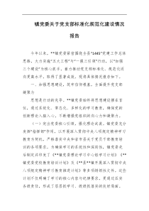 镇党委关于党支部标准化规范化建设情况报告