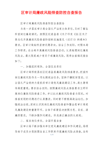 区审计局廉政风险排查防控自查报告
