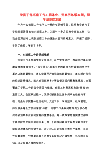 2025年党员干部巡察工作心得体会： 巡察历练锻本领，深学细照促发展