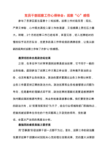 2025年党员干部巡察工作心得体会：巡察“心”感悟