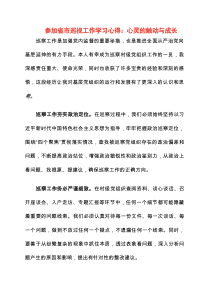 2025年参加省市巡视工作学习心得：心灵的触动与成长