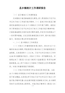 县乡镇统计工作调研报告