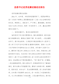 县委书记述责述廉述德述法报告