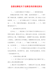 县委巡察组关于巡察县局的情况报告