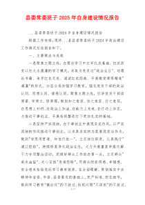 县委常委班子2025年自身建设情况报告