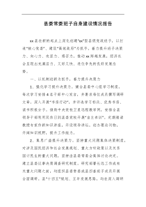 县委常委班子自身建设情况报告
