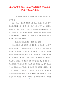 县应急管理局2025年行政执法和行政执法监督工作分析报告
