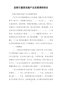 县推行蔬菜设施产业发展调研报告