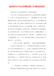 县政府关于打击刑事犯罪工作情况的报告