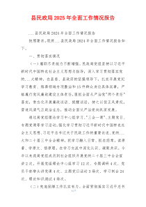 县民政局2025年全面工作情况报告