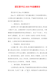 团区委书记2025年述廉报告