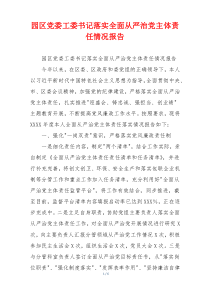 园区党委工委书记落实全面从严治党主体责任情况报告