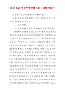 国企2025年上半年党建工作开展情况报告