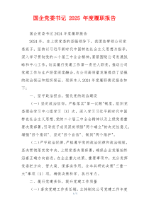 国企党委书记 2025 年度履职报告