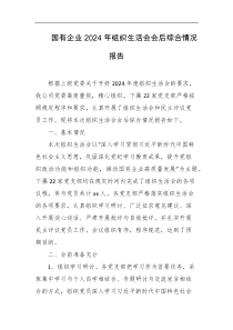 国有企业2024年组织生活会会后综合情况报告