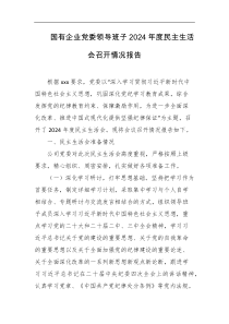 国有企业党委领导班子2024年度民主生活会召开情况报告