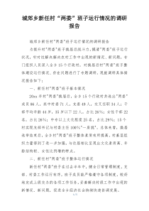 城郊乡新任村“两委”班子运行情况的调研报告