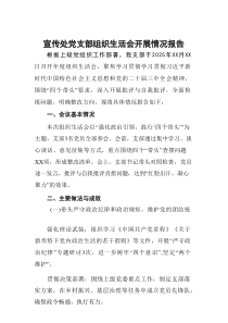 宣传处党支部组织生活会开展情况报告