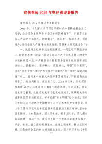 宣传部长2025年度述责述廉报告