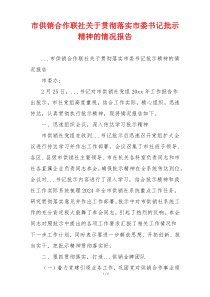 市供销合作联社关于贯彻落实市委书记批示精神的情况报告