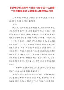 市供销合作联社学习贯彻习近平总书记视察广东视察重要讲话重要指示精神情况报告