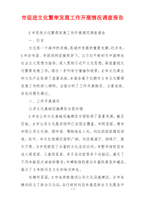 市促进文化繁荣发展工作开展情况调查报告